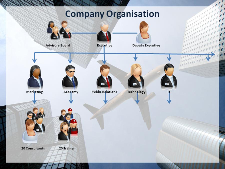 Organigram of the Company